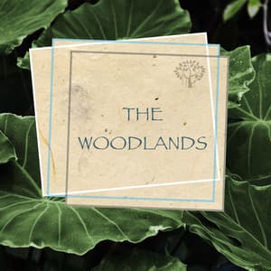 The Woodlands - Relaxing Spirit