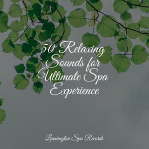 50 Relaxing Sounds for Ultimate Spa Experience - Chakra Meditation Universe