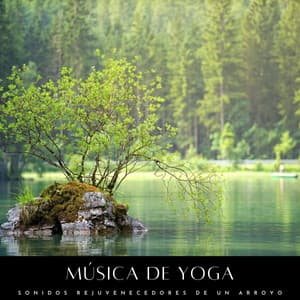 Música De Yoga: Sonidos Rejuvenecedores De Un Arroyo - Yoga Namaste