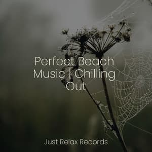Perfect Beach Music | Chilling Out - Deep Sleep Meditation