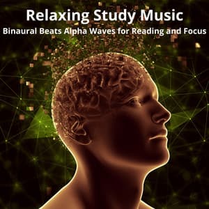 Relaxing Study Music: Binaural Beats Alpha Waves for Reading and Focus - Binaural Beats Study