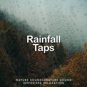 Rainfall Taps - Nature Sounds