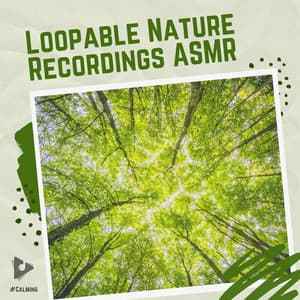 Loopable Nature Recordings ASMR - #Calming