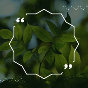 Relaxing Rituals - Playlist Música para Dormir