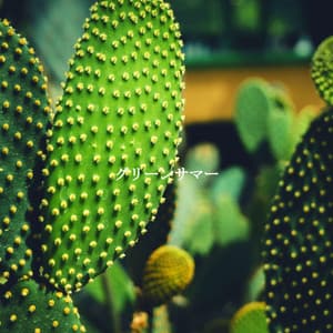 グリーンサマー - Instrumentals for Reading