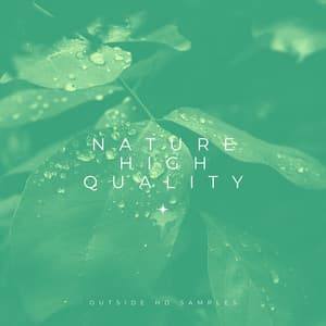 Nature High Quality - Outside HD Samples