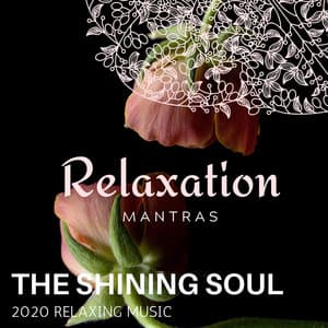 The Shining Soul - 2020 Relaxing Music - Zen Healing Melodies