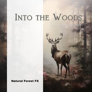 Into the Woods: Nature's Lullaby - Natural Forest FX