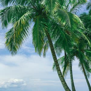 50 Meditative Waters: Unwind With The Ocean's Breeze - Seascapers