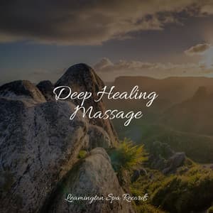 Deep Healing Massage - Rain Shower Spa