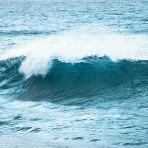 50 Ambient Songs From The Coast - Ocean Sounds