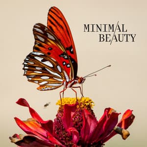 Minimal Beauty - Citokid