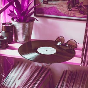 Vintage Background Music for Rain Time - Classic Bosas Nova Radio