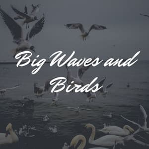 Big Waves and Birds - Tranquility Spree