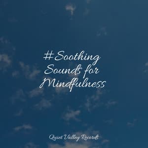 #Soothing Sounds for Mindfulness - Tinnitus Aid