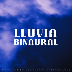 Lluvia Binaural: Descanso De Las Mascotas Estresadas - La lluvia es mi vida