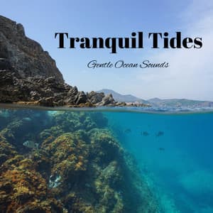 Tranquil Tides: Gentle Ocean Sounds - Ocean Nights