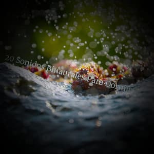 Hechizo Resplandeciente de la Eternidad - Lumenis