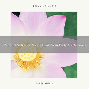 Perfect Meditation Songs Heals Your Body And Revives - Eternal Relax