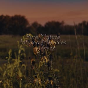 Pure Nature Infused Melodies to Relax - Música Zen Relaxante