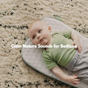 Calm Nature Sounds for Bedtime - Beach Jazz Playlist