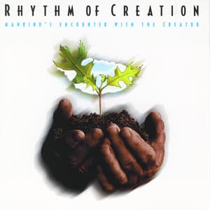 Rhythm Of Creation - Studio Musicians