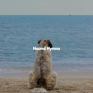 Hound Hymns - Feel Good Jazz