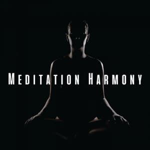 Meditation Harmony: Chill Music for Mindful Retreat - Astral Noise