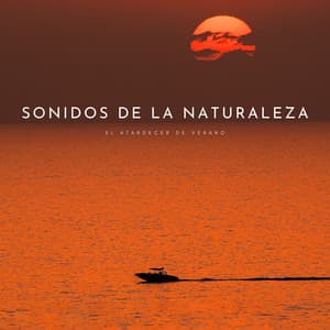Sonidos De La Naturaleza: El Atardecer De Verano - Sonidos Naturaleza