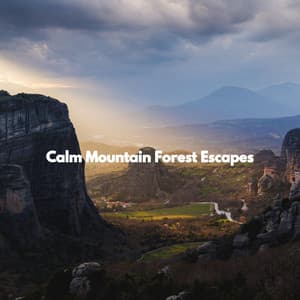Calm Mountain Forest Escapes - Musica per la Colazione