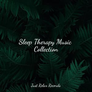 Sleep Therapy Music Collection - Healing Yoga Meditation Music Consort