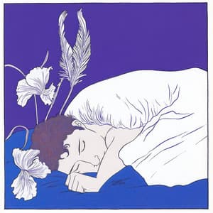 Midnight Meandering - Therapeutic Music Zone