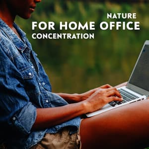 Nature for Home Office Concentration and Focus Music: Bird Noise, Gentle Rain Fall, Waterfall Relaxing Music, Forest Sounds - Relaxing Office Music Collection