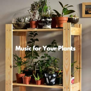 Music for Your Plants - Happy Cooking Music