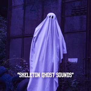 * Skeleton Ghost Sounds * - The Haunted House of Horror Sound Effects