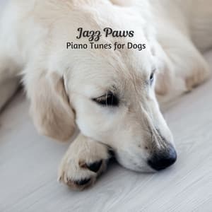 Jazz Paws: Piano Tunes for Dogs - Coffee Jazz