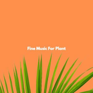 Fine Music For Plant - Late Night Jazz Playlist