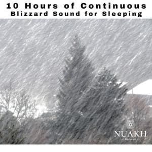 10 Hours of Blizzard Sound for Sleeping - Sleep Sounds of Nature