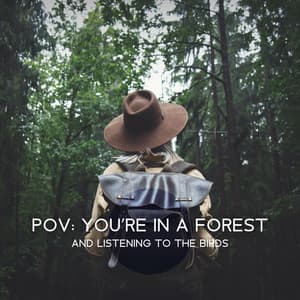 Pov: You’re in a Forest and Listening to the Birds - Forest Hills Music Universe