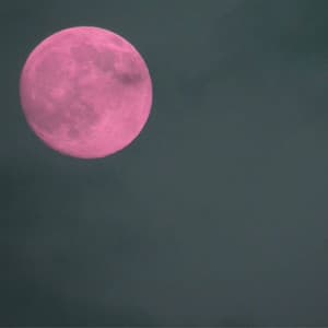 Backdrop for Always Atmospheric - Harmonica Solo - Restaurante Clásico Jazz