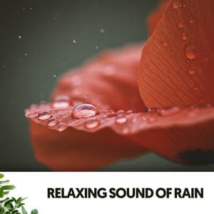 Relaxing Sound of Rain: Serenity in the Storm - Cat Music Therapy