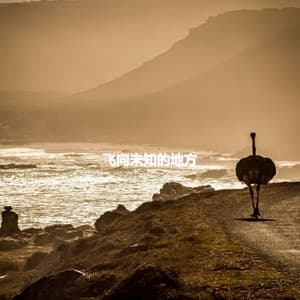 飞向未知的地方 - Jazz Piano Bar