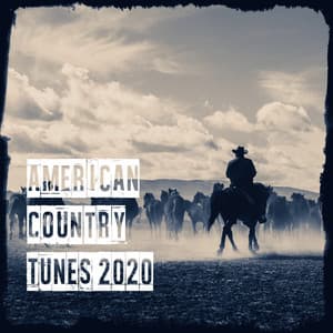 American Country Tunes 2020 - The Country Music Heroes