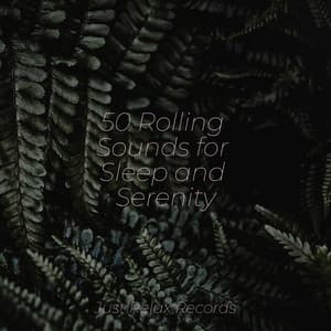 50 Rolling Sounds for Sleep and Serenity - Ambient