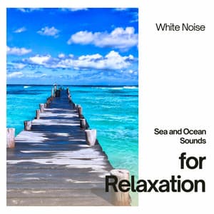 Sea and Ocean Sounds for Relaxation with White Noise, Loopable - Nature Sounds Artists