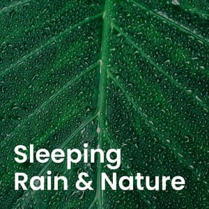Sounds of Nature: Peaceful Rain & Forest Ambience - Nature Sound Collection