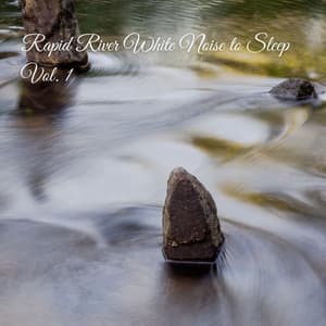 Rapid River White Noise to Sleep Vol. 1 - White Noise Baby Sleep Music