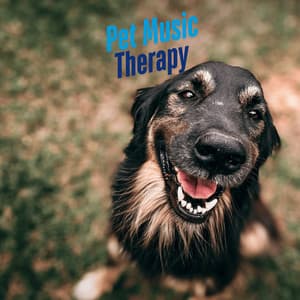 Whispering Fur Therapy - Piano Peace