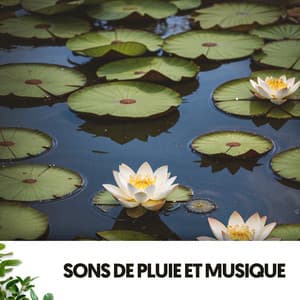 Chiens et Chats Heureux : Mélodies Poilues sous la Pluie - Dog Relaxation