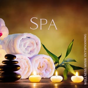 Spa: Wellness Musik Entspannung - Entspannende Musik Wellness